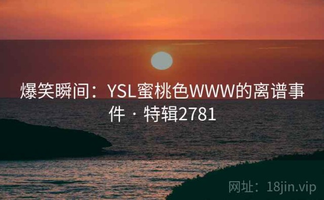 爆笑瞬间：YSL蜜桃色WWW的离谱事件 · 特辑2781