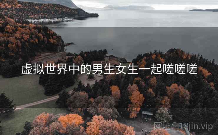 虚拟世界中的男生女生一起嗟嗟嗟