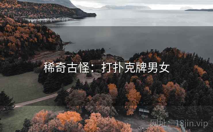 稀奇古怪：打扑克牌男女