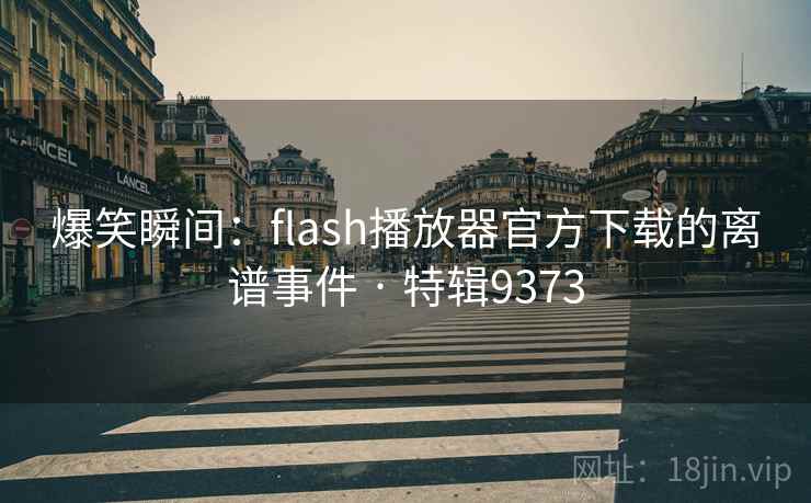 爆笑瞬间：flash播放器官方下载的离谱事件 · 特辑9373
