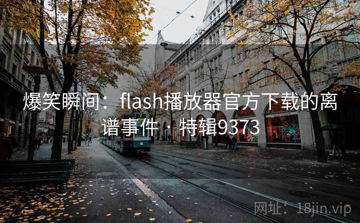 爆笑瞬间：flash播放器官方下载的离谱事件 · 特辑9373