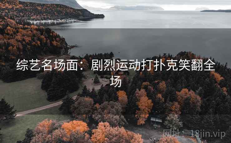 综艺名场面:剧烈运动打扑克笑翻全场 综艺名场面:剧烈运动打扑克笑翻全场